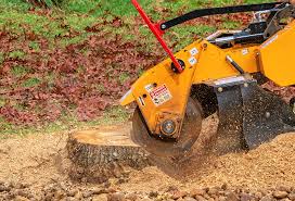 Best Tree Removal  in Rancho Cumonga, CA